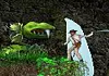 Jungle Treasures 2 : Tombs of Ghost