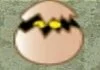 Egg Match