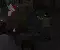 The Last Stand 2