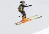  Ski Sim